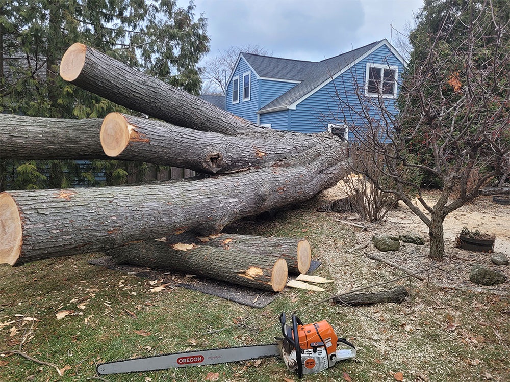 Emergency Tree Removal