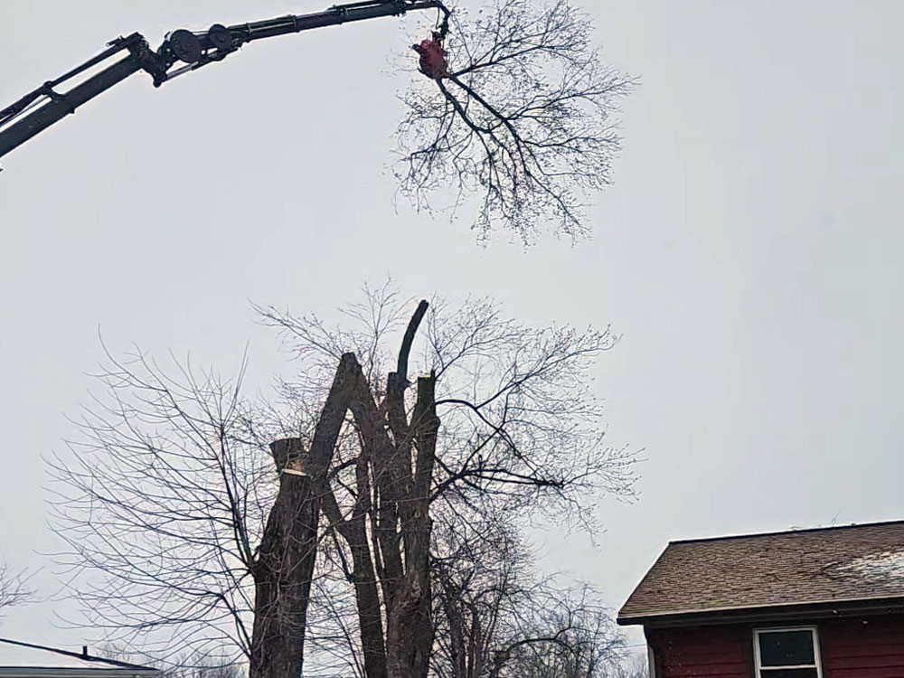 Emergency Storm Cleanup