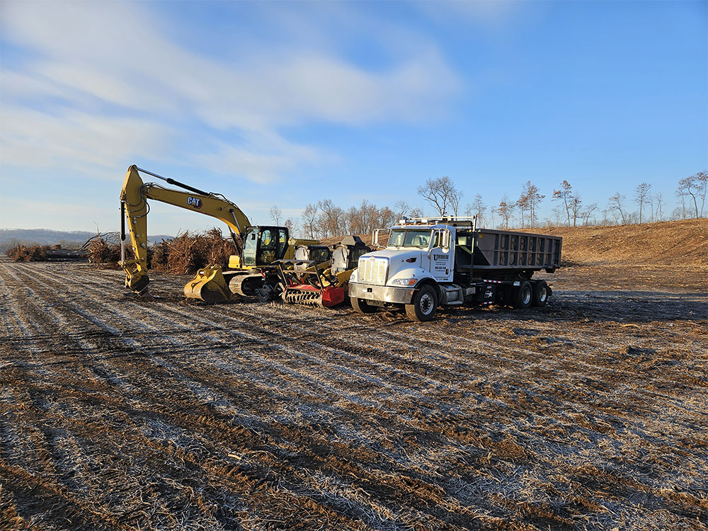 Tree Clearing