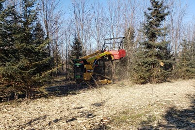Lot and Land Clearing