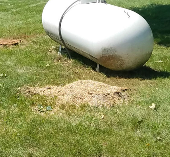 Stump Removal