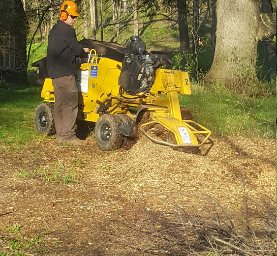 Stump Grinding