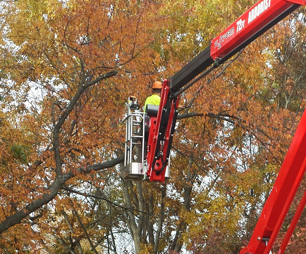 Tree Pruning
