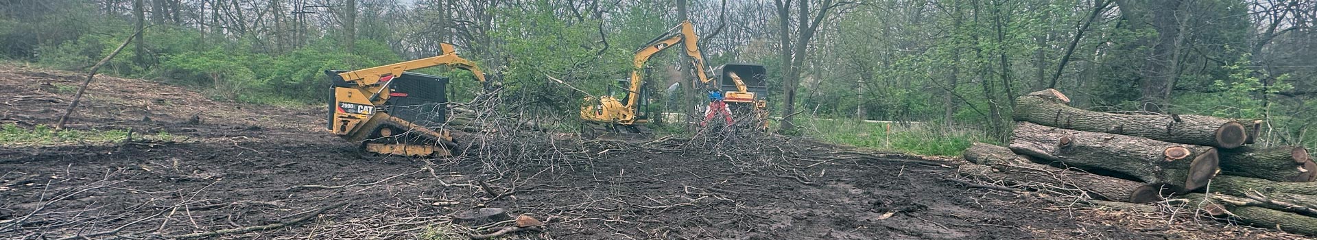 Tree Clearing & Grubbing