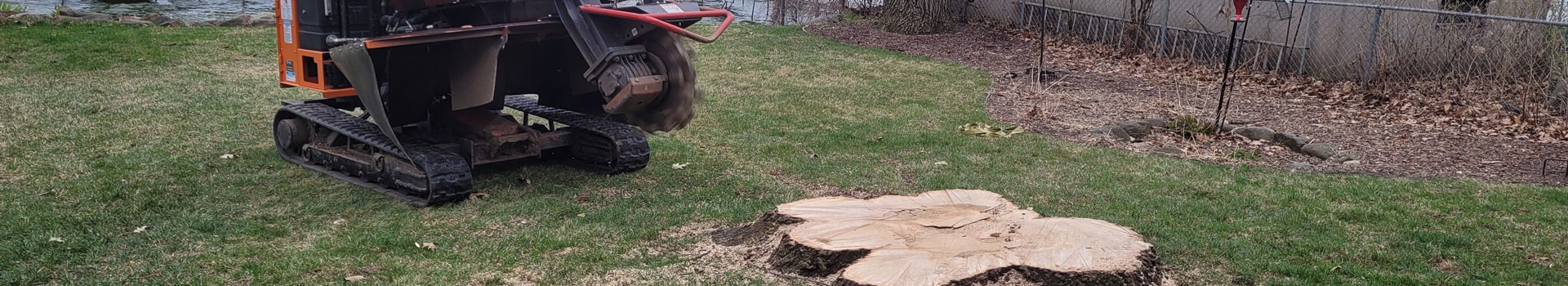 Stump Removal Services