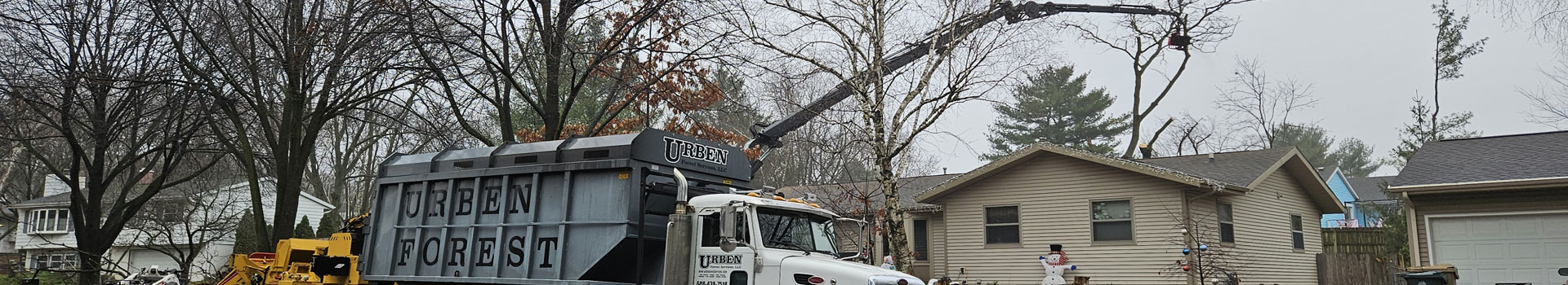 Professional Tree Trimming & Tree Pruning Services